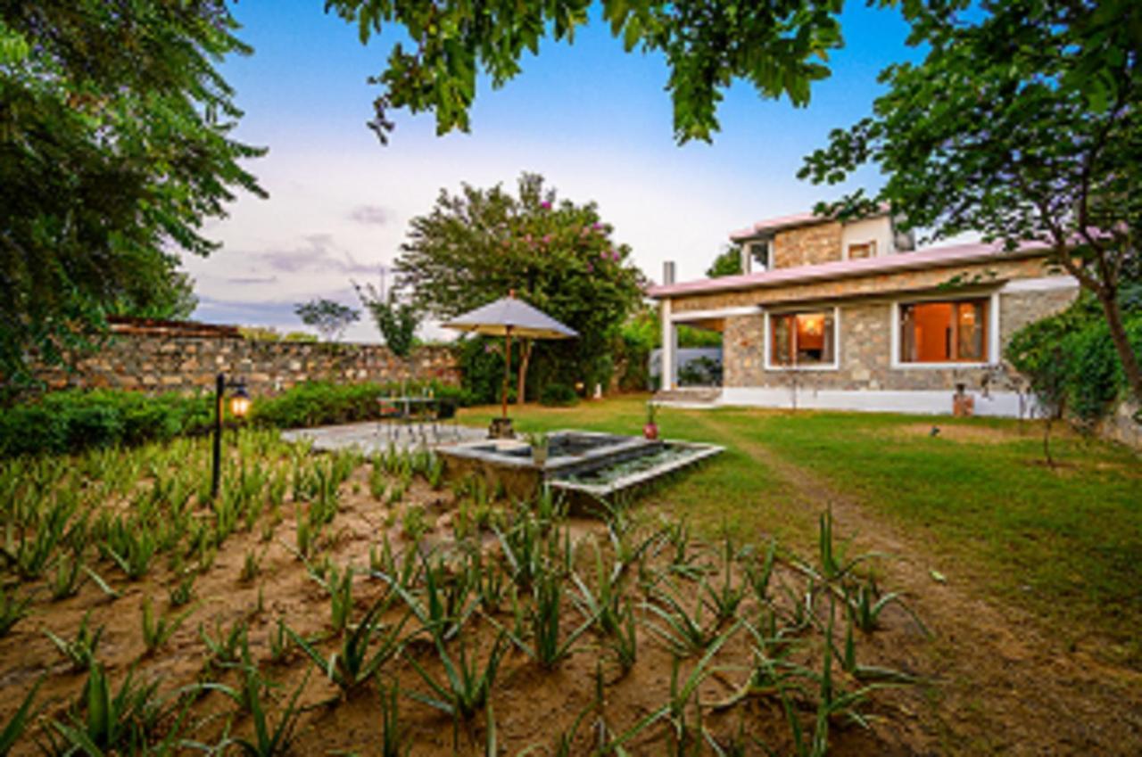 A Dog'S Story, Jaipur Bed & Breakfast ภายนอก รูปภาพ